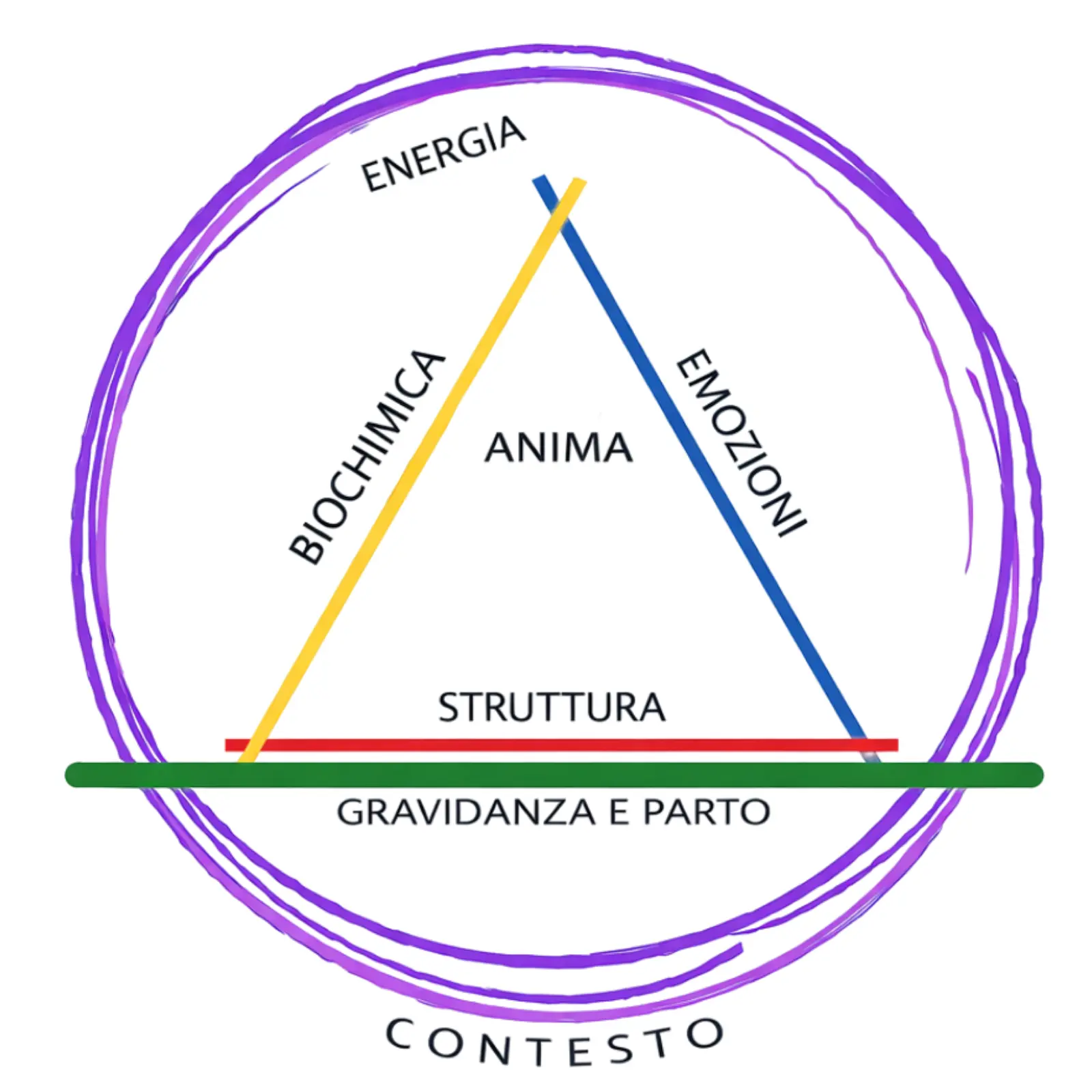 i 7 elementi